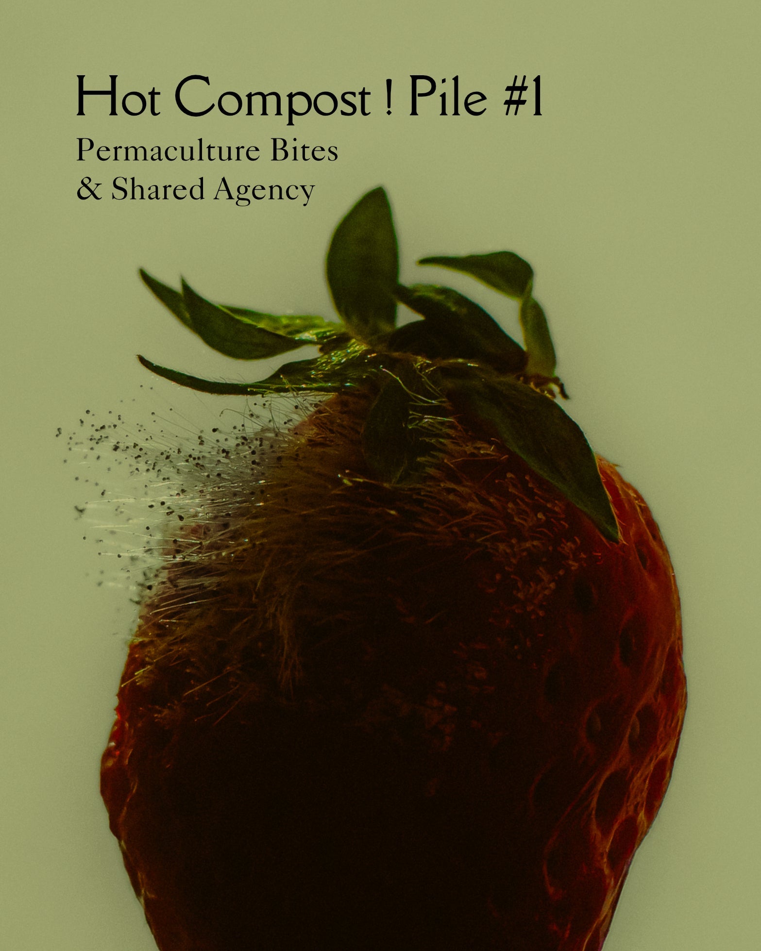 HOT COMPOST! - PILE #1 Permaculture Bites and Shared Agency